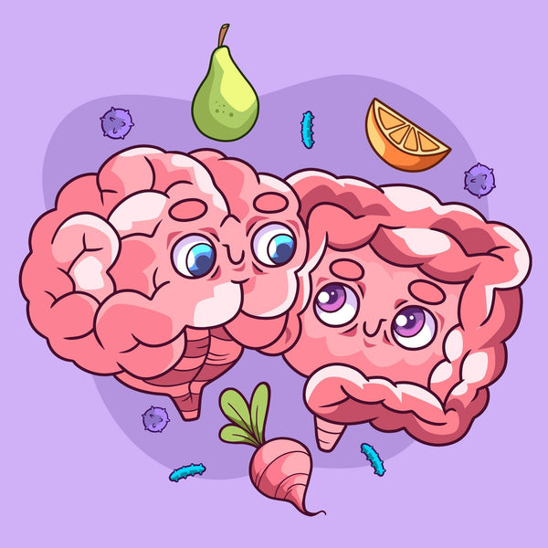 Why Is the Gut the "Second Brain"? A Deep Dive Into the Gut-Brain Connection