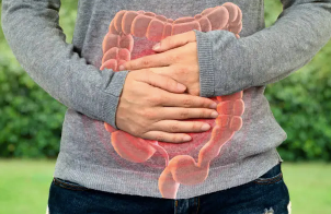 The Critical Role of the Gut in Food Breakdown and Absorption